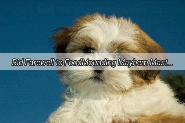 Bid Farewell to FoodMounding Mayhem Master the Art of Dog Food Neatness